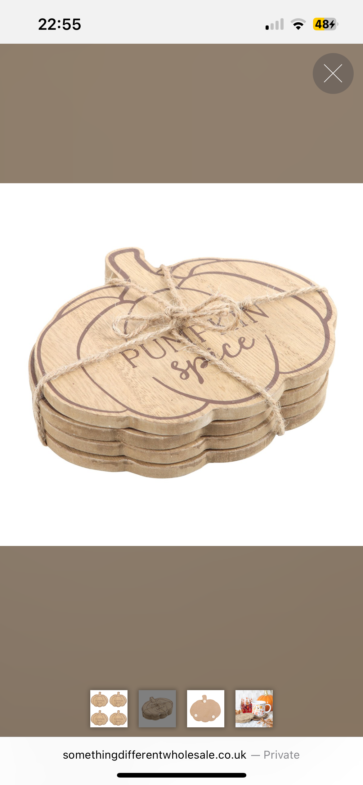 Pumpkin Spice Coasters