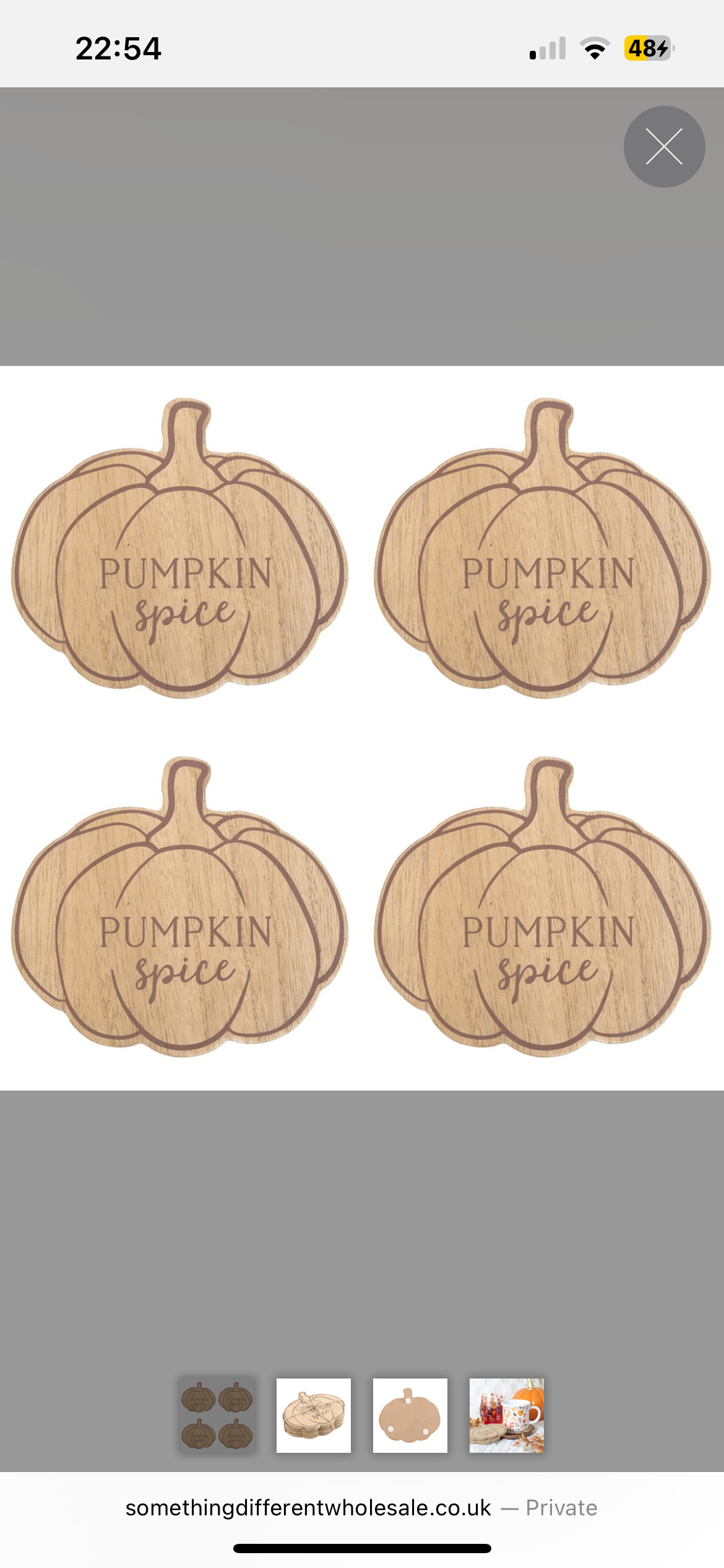Pumpkin Spice Coasters