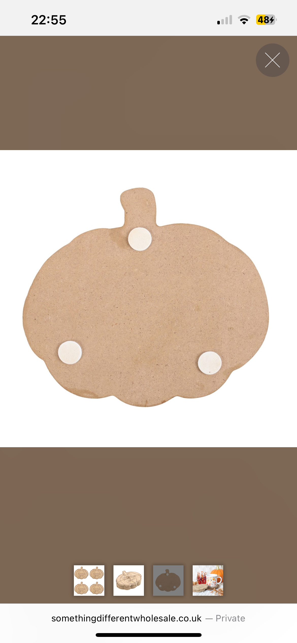 Pumpkin Spice Coasters