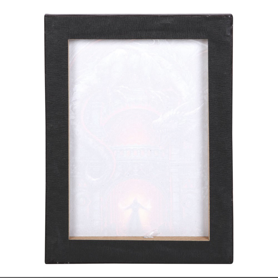 Dragons Lair Canvas Plaque